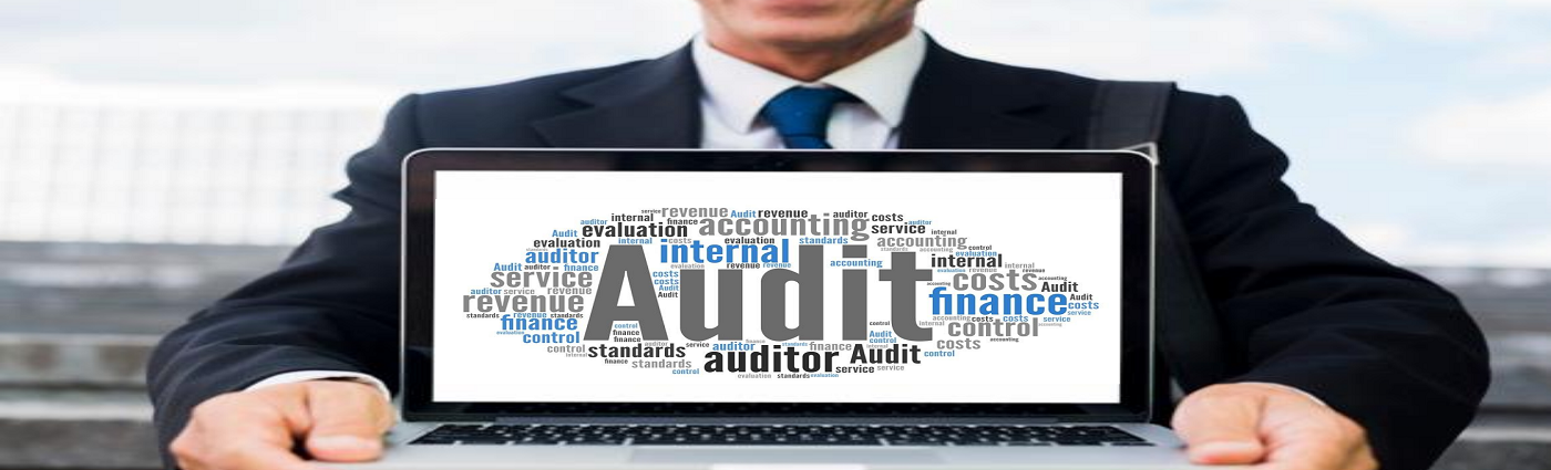 Why Internal Audit Software Solutions are Beneficial and 5 must haves for a Modern Solution